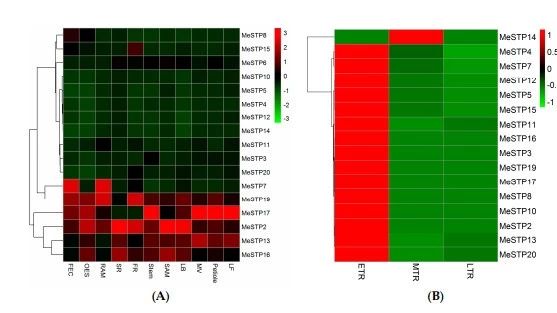 一键式有参转录组流程