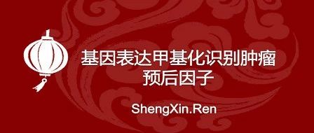 生信人迎春课程-基因和甲基化