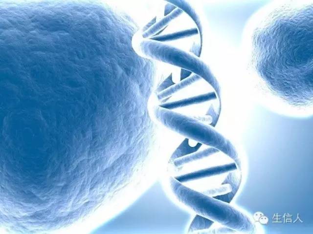 基因组常用基因预测方法统计