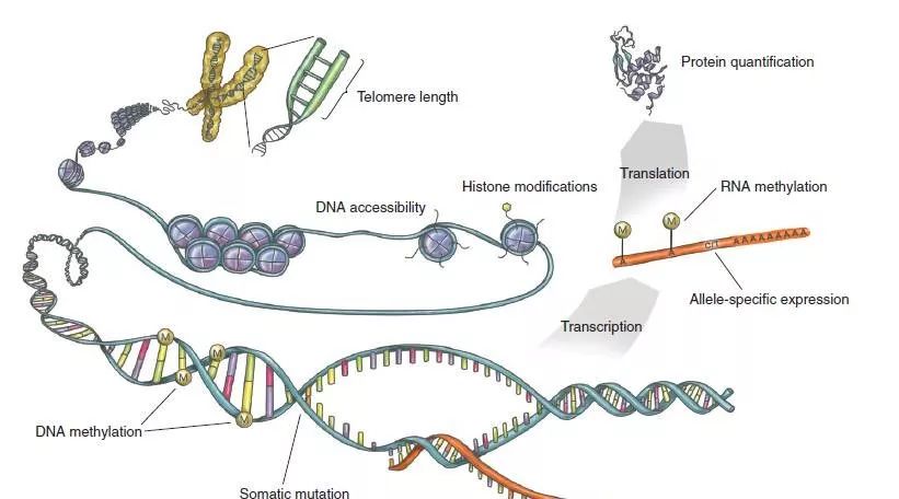 eGTEx 何方妖孽？