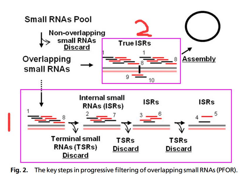 高通量检测病毒的方法研究
