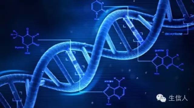 exon,CDS,UTR你分清了吗？