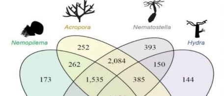 10月bioRxiv生信好文速览