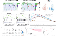你所不知道的6+ LncRNA 结合免疫思路