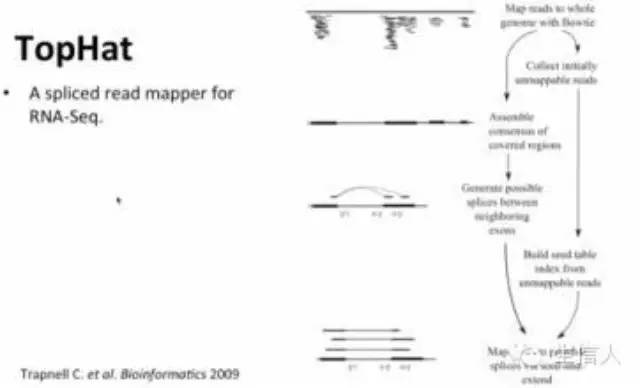 tophat中的mate-inner-dist 啥意思