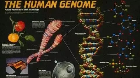 手把手RefSeq注释下载及加工