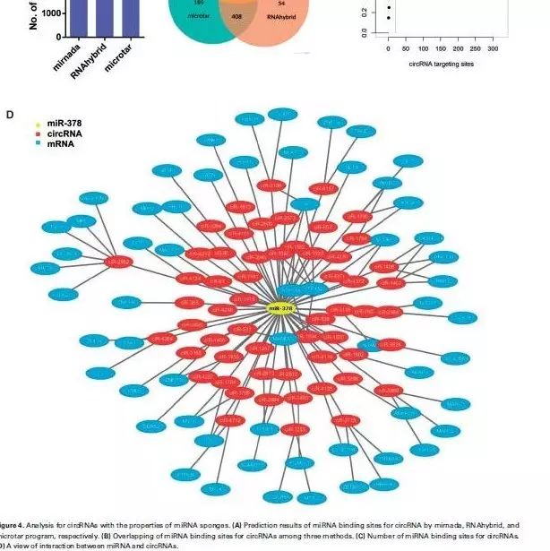 推广：开学季—2017年9月培训班安排