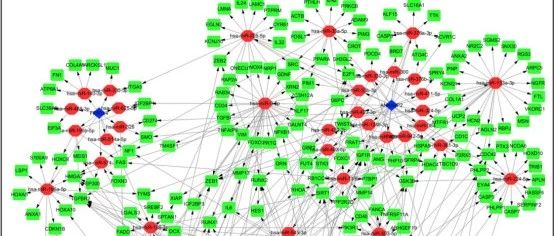胶质瘤假基因ceRNA网络构建3+思路分享
