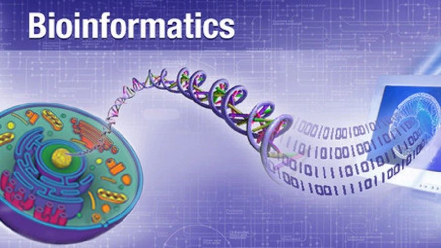 你离SCI就差这个生信分析课程