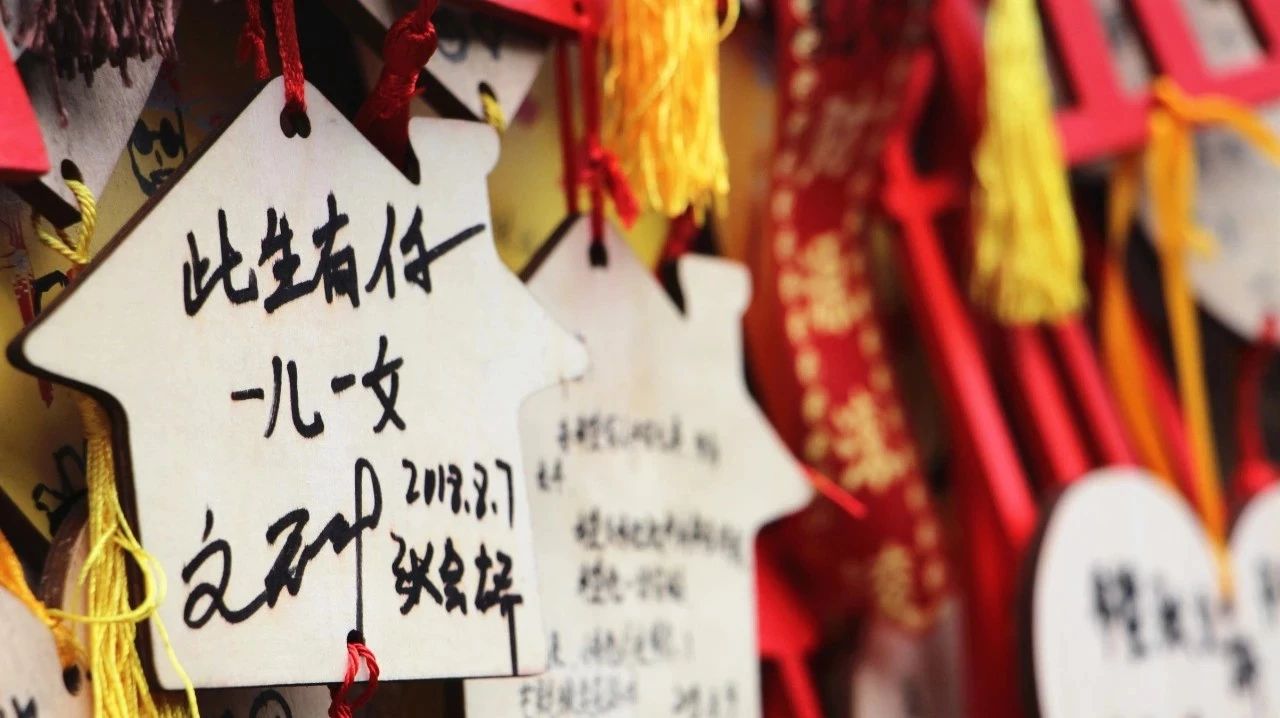 什么样的生活非得颠沛流离