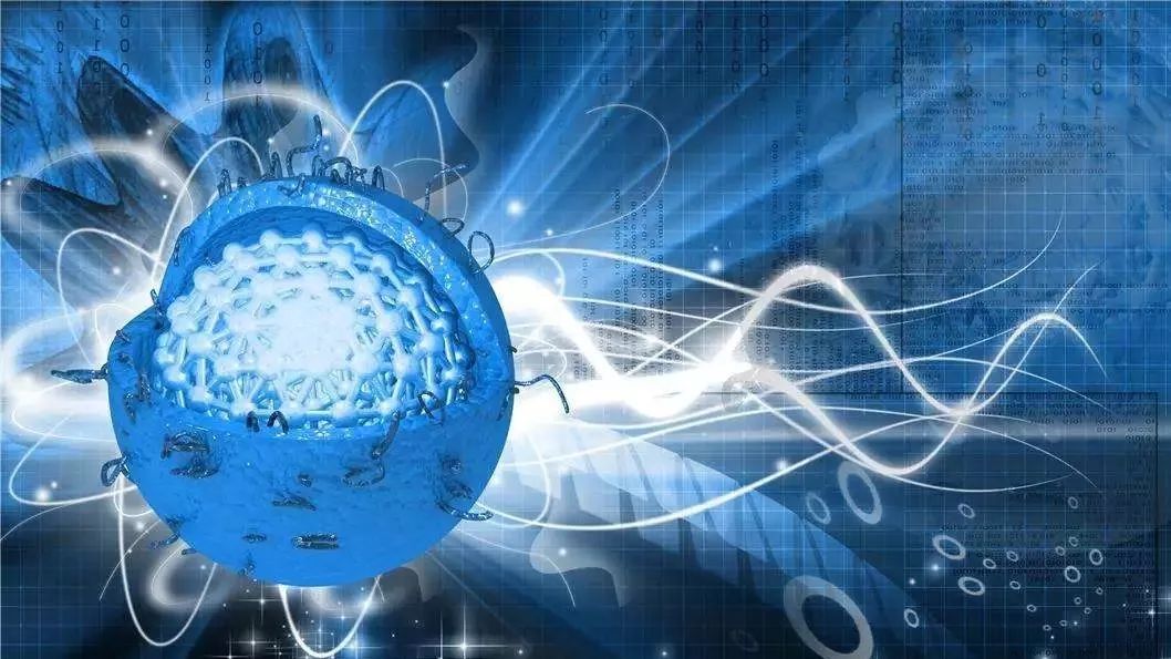 计算机系和生物系：我们的生信不一样？