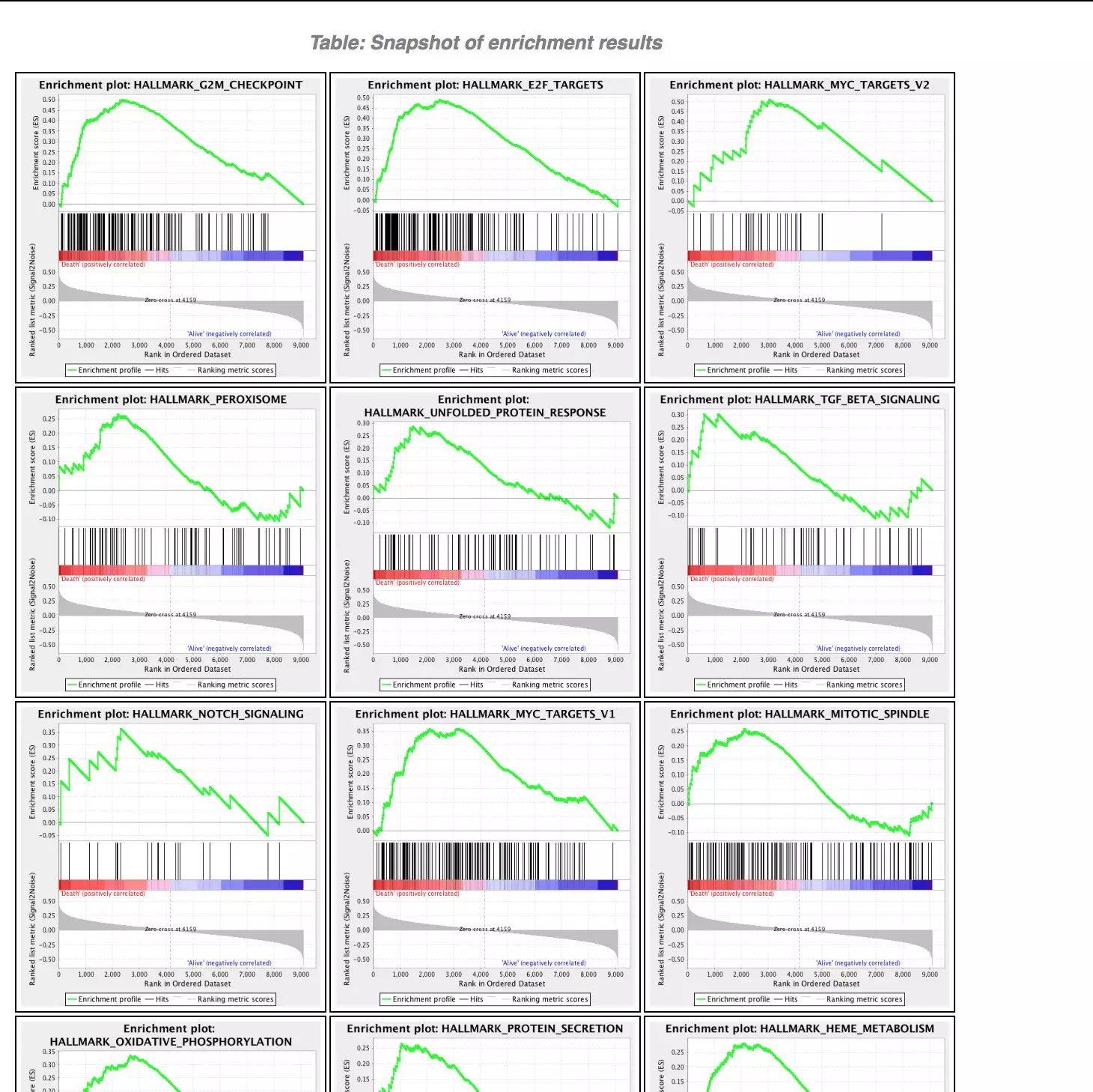 GSEA软件使用入门