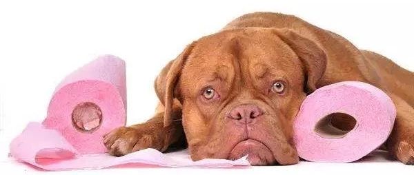 生信人啃英语指南