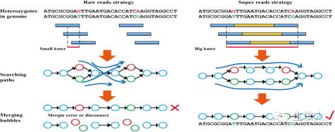 测序技术哪家强