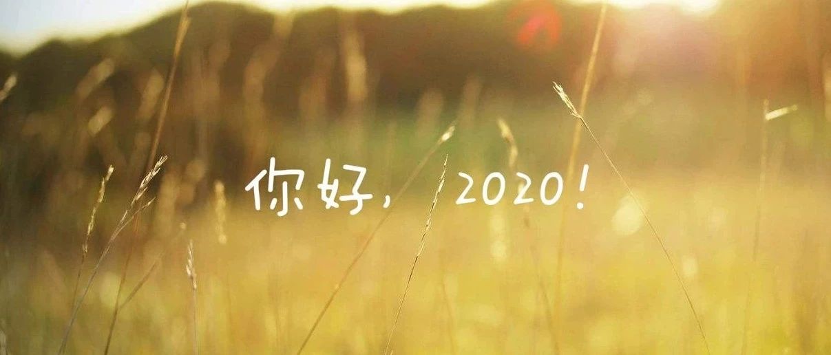 新年第一个FLAG，免费领取一份R语言学习视频