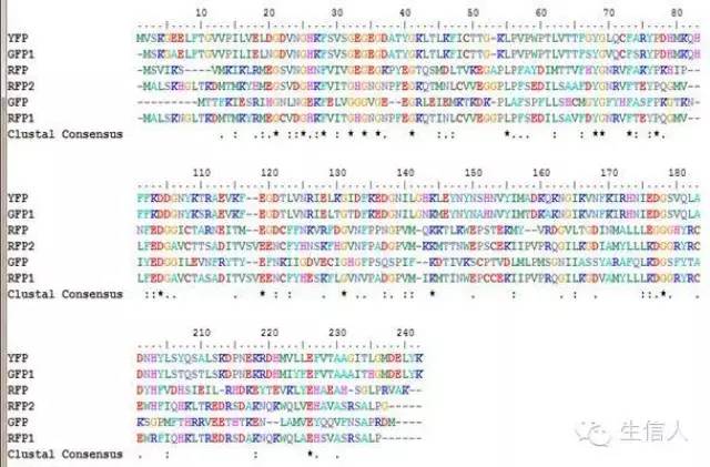 生物信息学技术 之 如何进行物种间同源序列分析