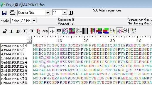 FASTA序列可视化操作