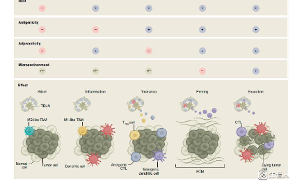 NATURE IMMUNOLOGY重磅：颠覆传统免疫原性细胞死亡认知