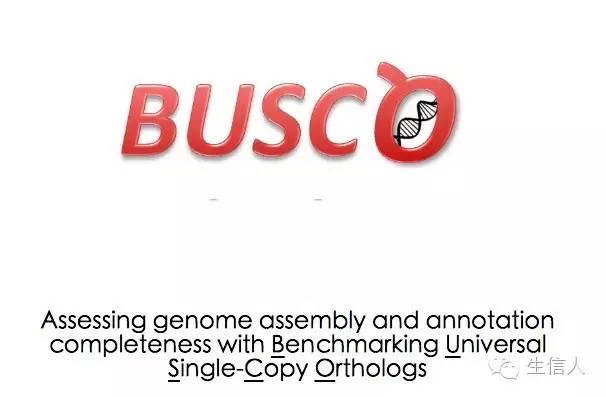 BUSCO：基因组组装完整性评估