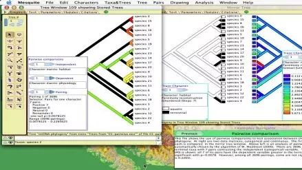 进化树作图专题:盘点绘树的14款本地软件