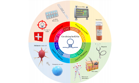 循环lncRNA：癌症早筛的hope