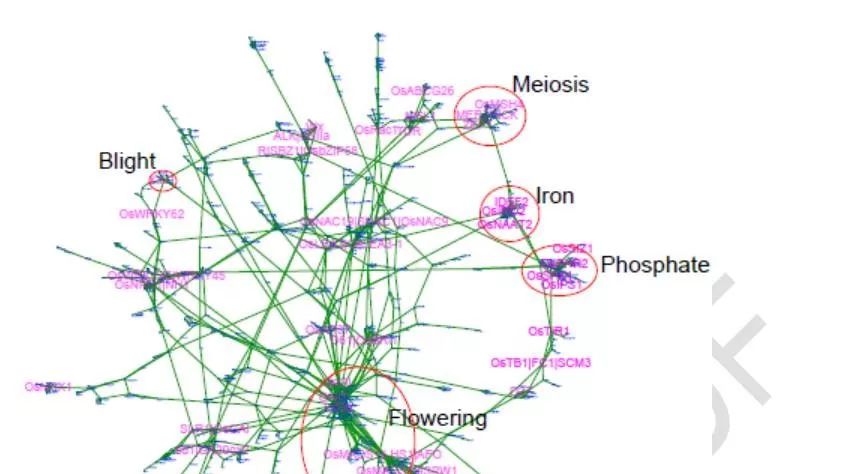 funricegenes：水稻功能基因数据库