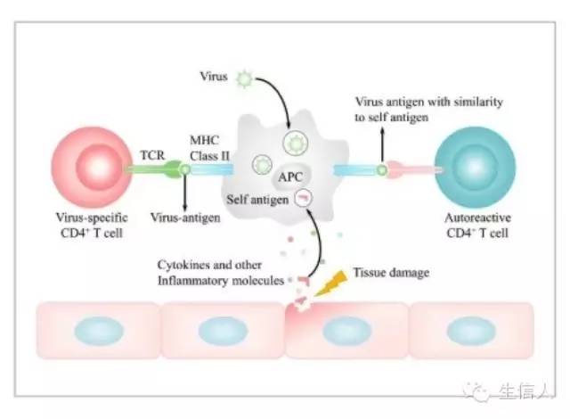 如何利用PPT处理sci图片