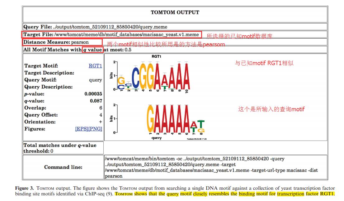 研究motif的平台介绍