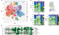 Nature Immunology:揭示人类组织的记忆T细胞的图谱