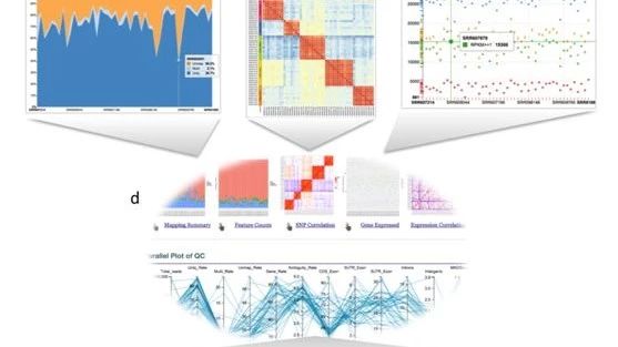 QuickRNASeq——RNA-Seq数据处理及可视化工具