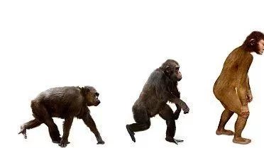 dNdS与KaKs的关系，你搞清了吗？