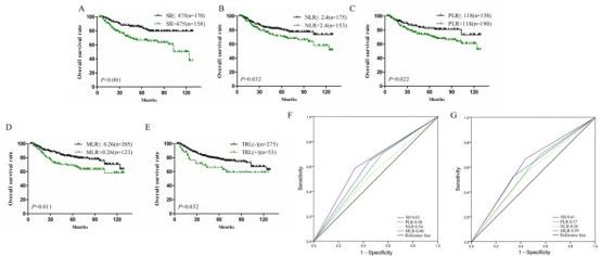 宫颈癌术前系统性免疫炎症指标的预后价值