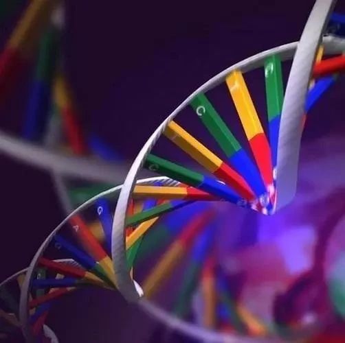 微生物基因组我也可以分析