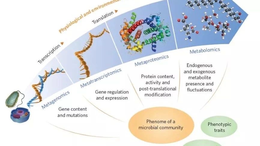 多组学整合的实li讲解
