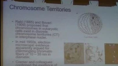 视频 | 3D基因组及其应用 -UCSD 任兵