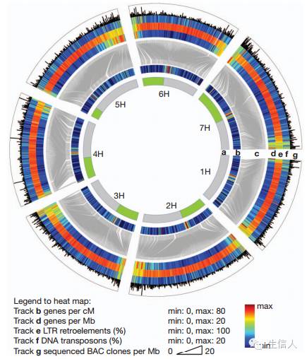 序列组装的算法k-mer