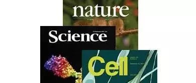 从CNS到四大神刊——聊聊杂志名的那些八卦