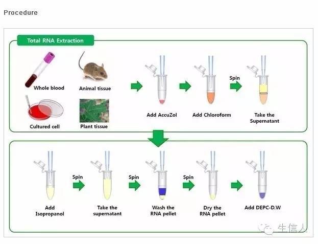 RNA提取实验步骤