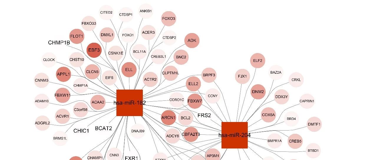 有一点点不同的Layout