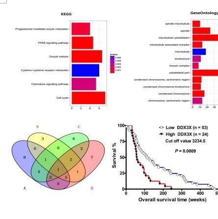 【医药加】第三期R语言数据分析实战技术培训班 （上海，7.21-22）