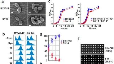 近期高水平生物信息学文献一览