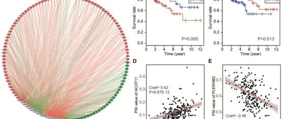 可变剪切还能发文章吗？
