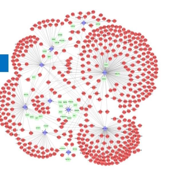 全国第五期测序与芯片高通量数据挖掘与分析学习班通知！