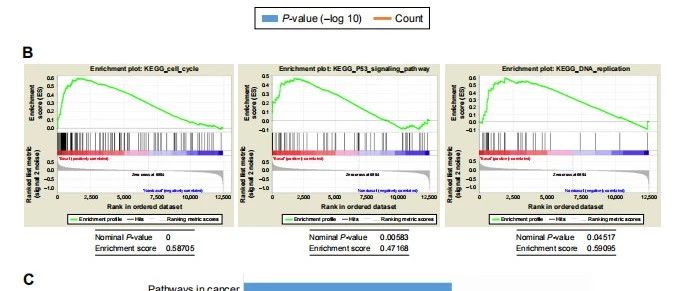 经典预后，重现江湖
