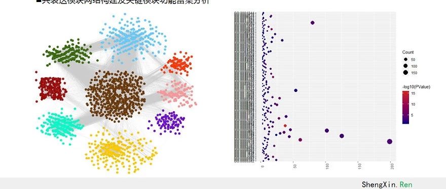 WGCNA挖掘核心基因视频店长推荐