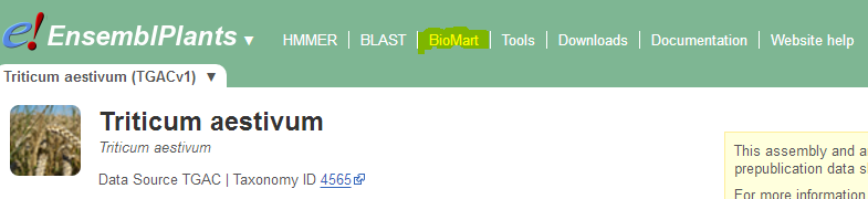 如何下载旁系同源和直系同源基因