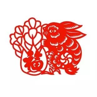 兔子驯化基因组文章解读