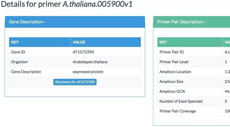 再也不用自己设计qPCR引物了（ICG+qPrimerDB超详细中文版用法）