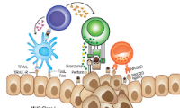 SXR202304029C+一文了解杀伤T细胞详细分类及目前T细胞免疫疗法进展