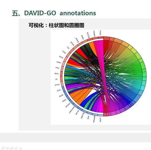 200元获得两份生信分析套路